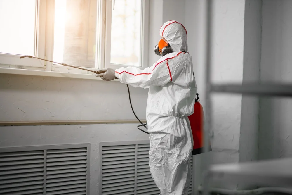 Professional mold remediation services in Paradise, UT